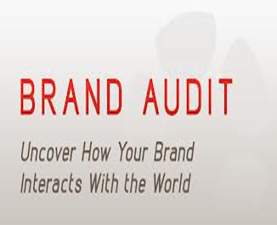 brand_audits